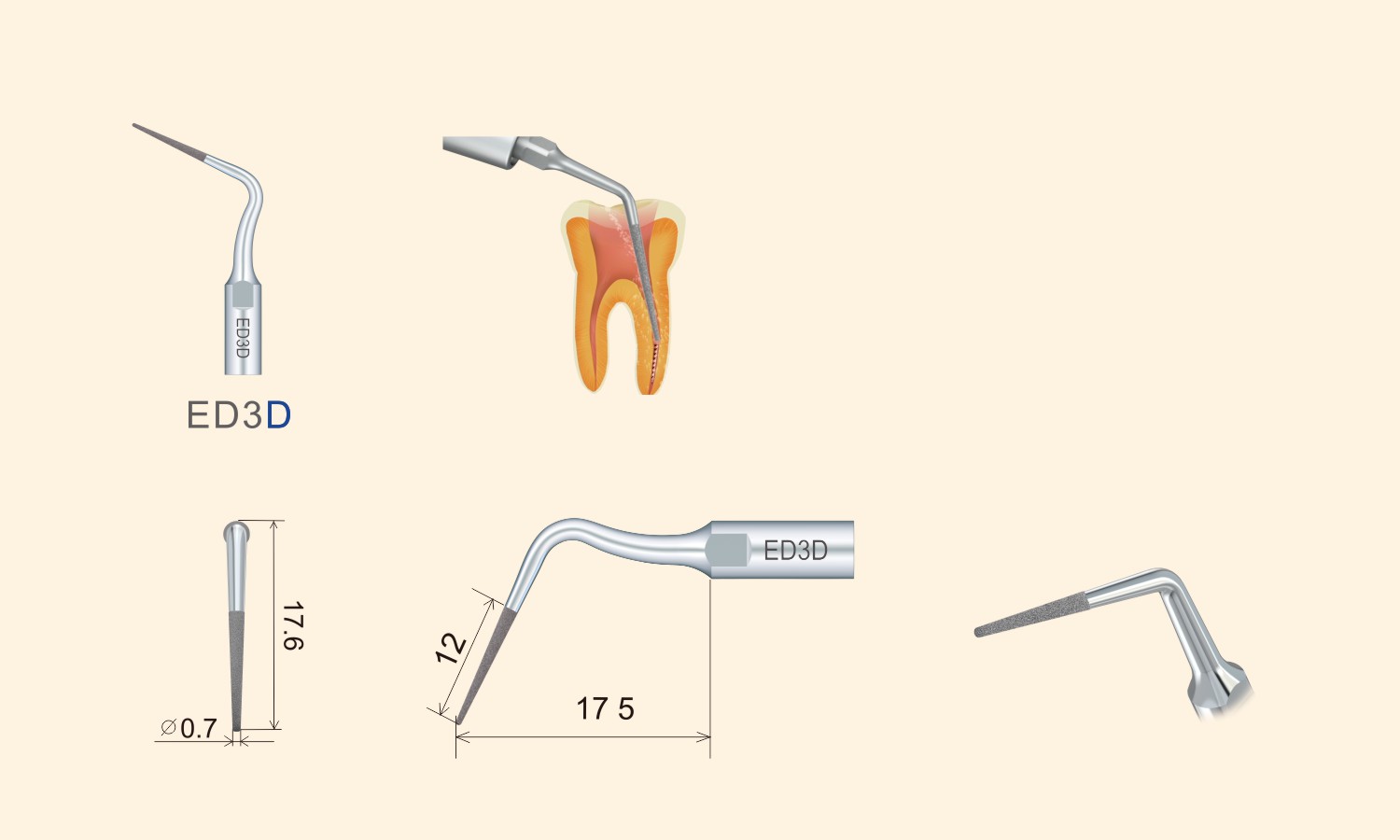 GD8 Endo Master Tip